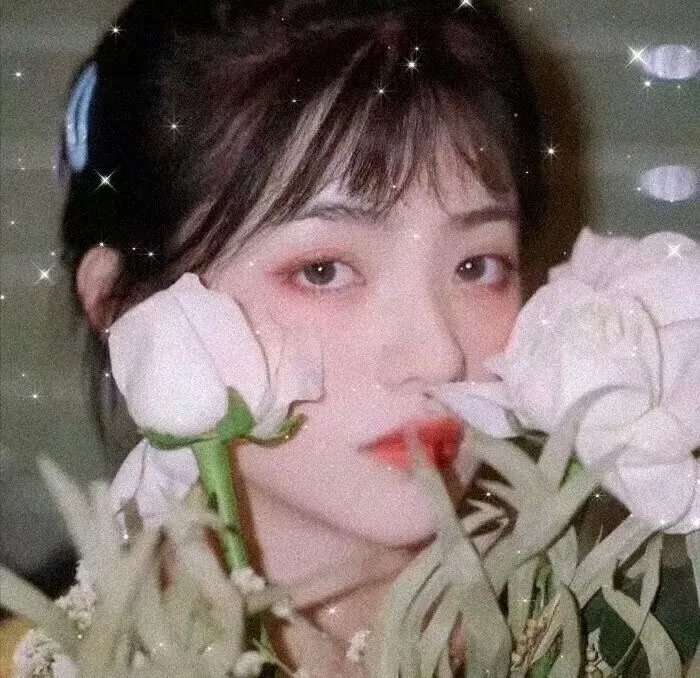 左轮手枪莉莉